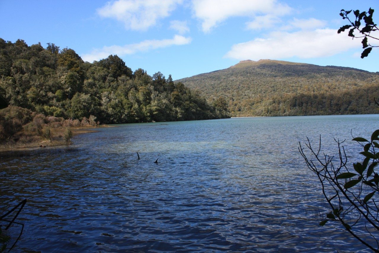 Lago Rotopounamu