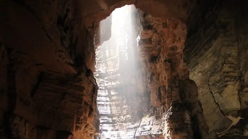6 · Disco Solar Jasintah — Cueva de los Tayos